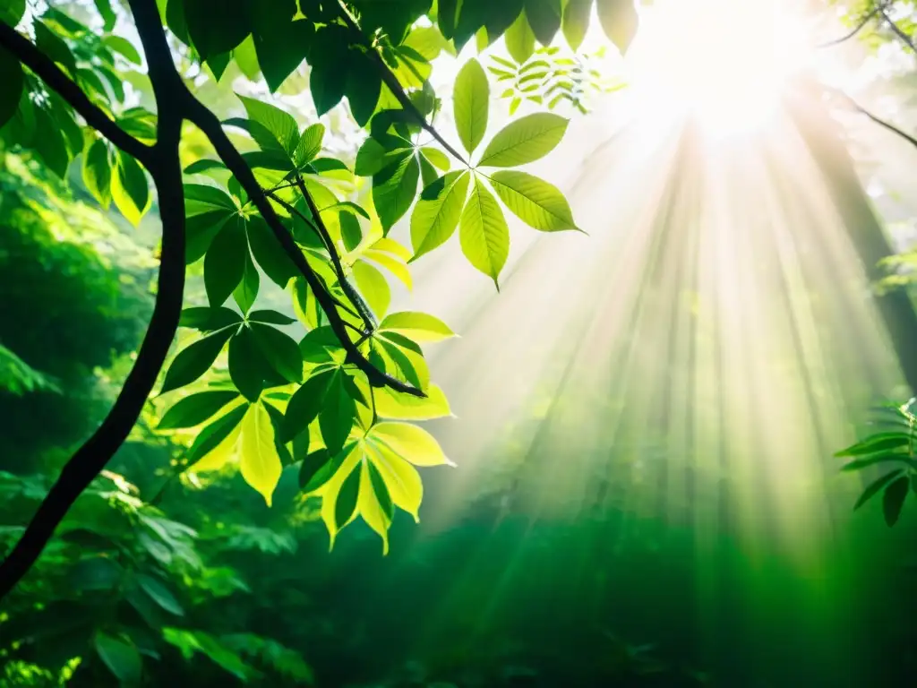 Espléndido bosque verde: armonía y naturaleza en la Escuela Austriaca Un bosque exuberante y sereno con luz solar filtrándose a través del dosel